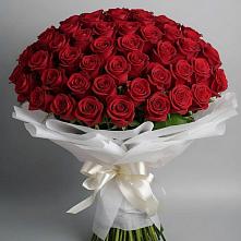 Букет 101 Красная роза Блэк Мэджик в Маджалисе