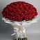 Букет 101 Красная роза Блэк Мэджик в Маджалисе