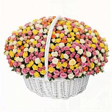 Премиум букет из: Розы в Маджалисе