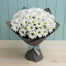 Букет цветов из:  Хризантемы в Маджалисе