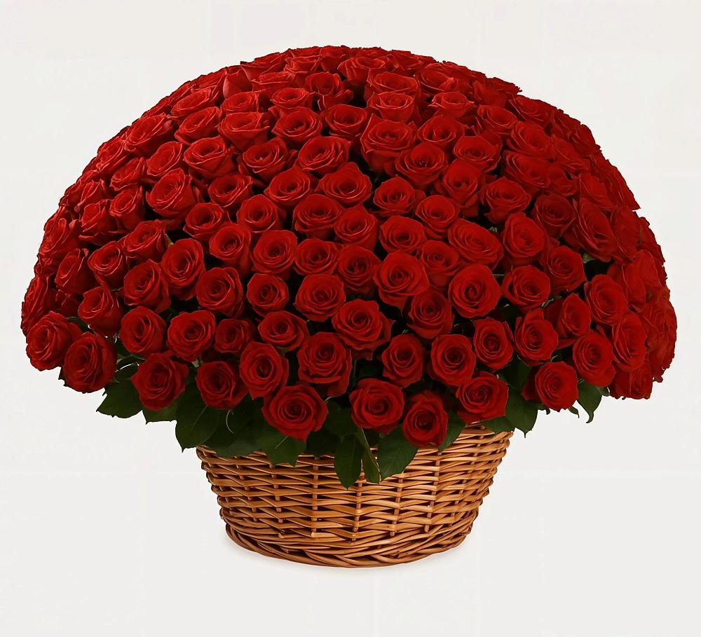 Премиум букет из: Розы в Маджалисе