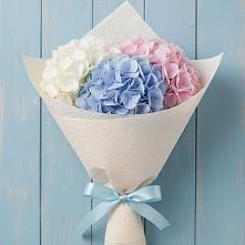Букет цветов из:  Гортензия в Маджалисе