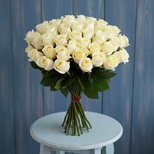 Букет 51 Белая роза Эдлесс Лав #REPLACE_PRED# Маджалисе