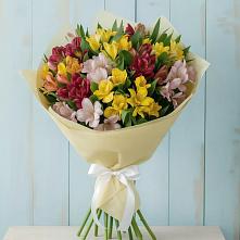 Букет цветов из:  Альстромерии в Маджалисе