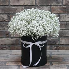 Цветочная композиция из Гипсофила в шляпной коробке #REPLACE_PRED# Маджалисе