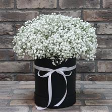 Цветочная композиция из Гипсофила в шляпной коробке в Маджалисе