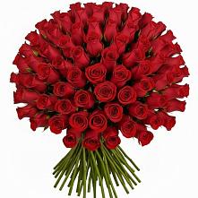 Букет Красные розы Чери Лав #REPLACE_PRED# Маджалисе