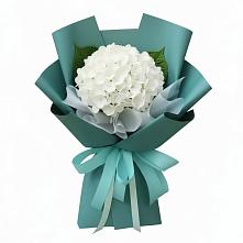 Букет цветов из:  Гортензия #REPLACE_PRED# Маджалисе